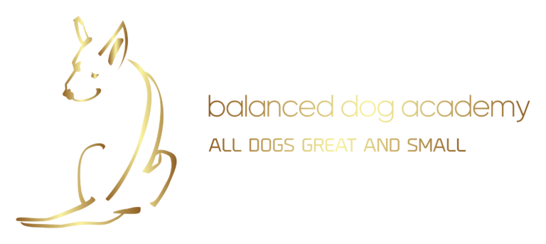 Balanced Dog Academy